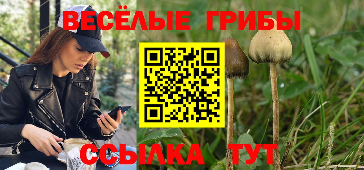 Псилоцибиновые грибы мухоморы  Псилоцибиновые грибы Psilocybe  Вход с VPN  Камень-на-Оби 