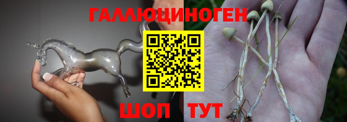 БУТИРАТ Камень-на-Оби
