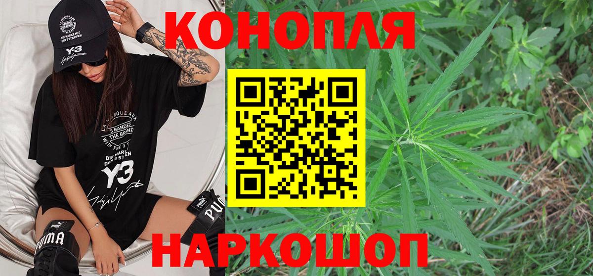 Шишки марихуана планчик  Шишки марихуана Bruce Banner  Вход с VPN  Конопля LSD WEED  Шишки марихуана LSD WEED  Камень-на-Оби 